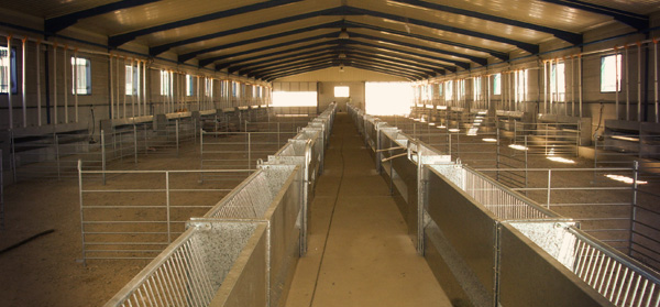 Sistemas de alojamiento para ovino de Growket